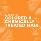 OGX Deeply Restoring + Pracaxi Recovery Oil Anti-Frizz Shampoo with Murumuru Butter to Intensely Hydrate Curly & Wavy Hair Sulfate-Free Surfactants for ColorTreated Hair13 fl oz EasyOptionXY LLC