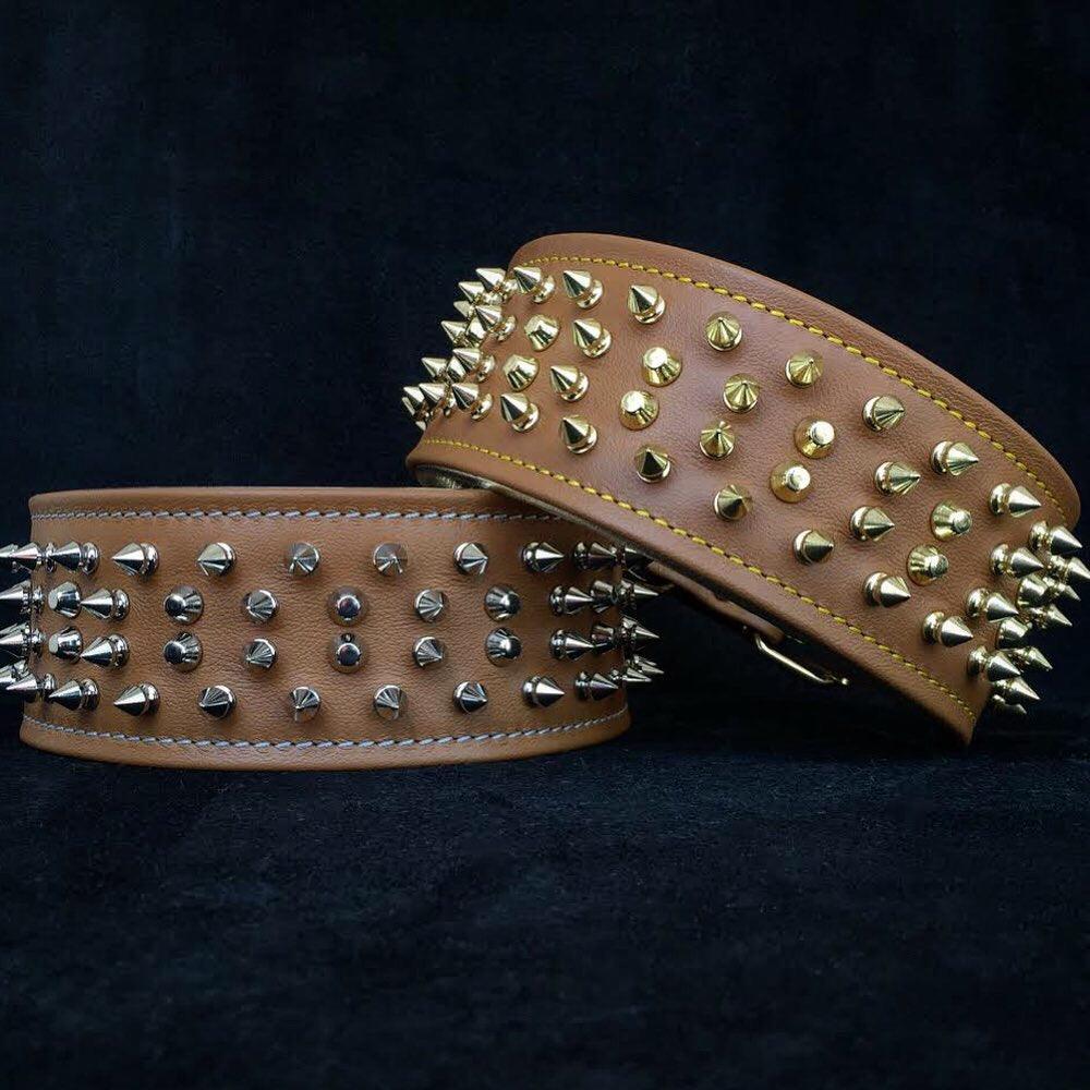 The "Crown" collar Bestia Dog Gear