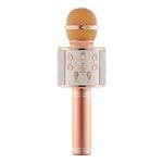 Wireless Bluetooth Colorful Light Microphone Pi-Mart