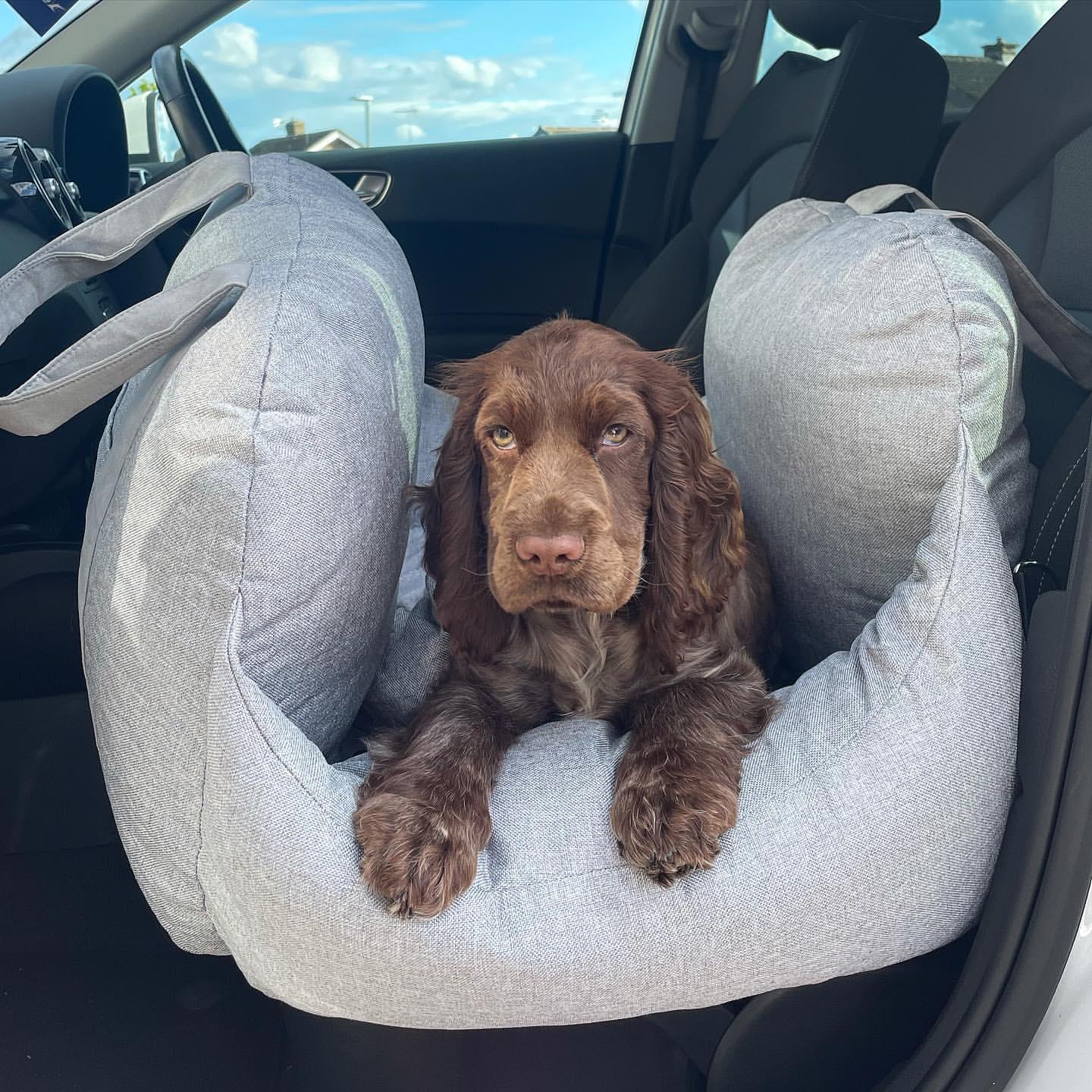 Pet Travel Bed - SJB-DIAMOND ELITES