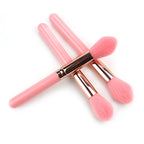Highlight Brush Giveaway Makeup Brush Pi-Mart