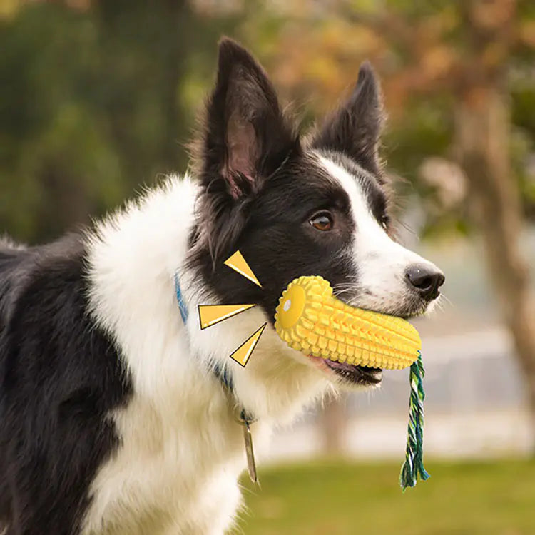 Realistic Corn Dog Toy Pi-Mart