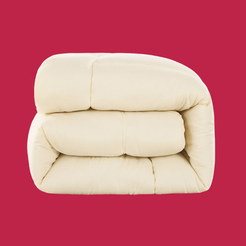 Single Core Thickening To Keep Warm Winter Quilt Pi-Mart