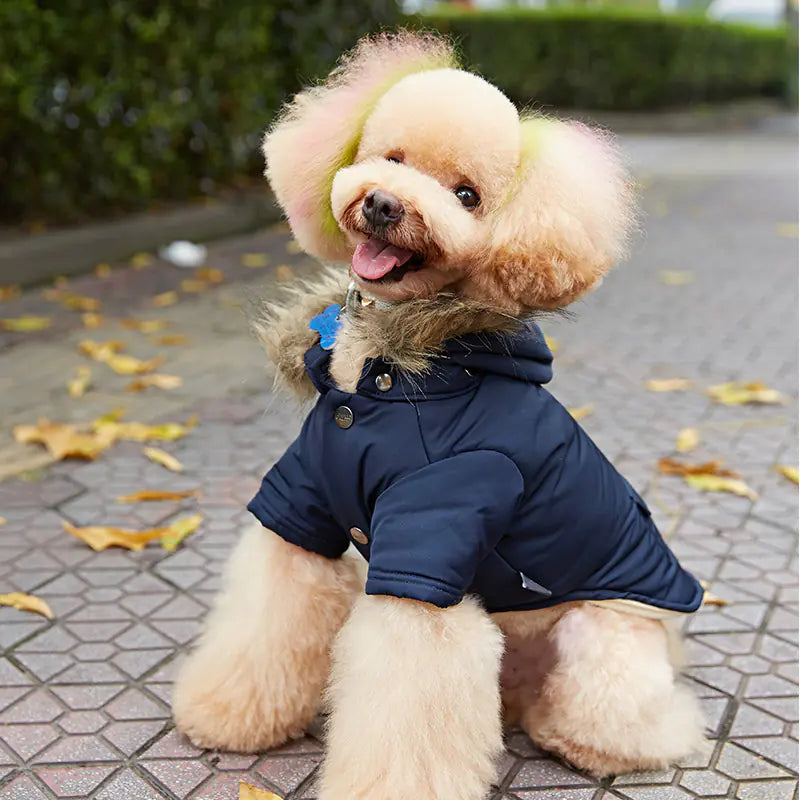 Hooded Down Jackets for Dogs - Pet Supplies Pi-Mart