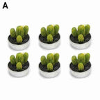 6Pcs Cactus Candle Cube Candle Simulated Plant Set Paraffin Scented 3D Candle Delicate Succulent Cactus Candles for Valentine's Day Birthday Party Wedding Spa Home Decoration Gifts Home Candle Tea Light Background Props Decor Stevvex