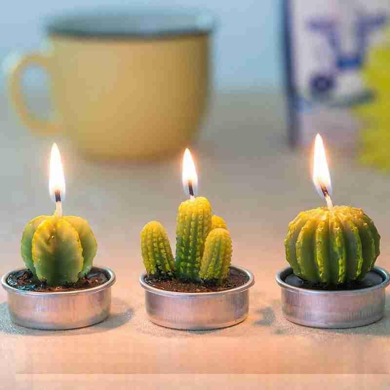 6Pcs Cactus Candle Cube Candle Simulated Plant Set Paraffin Scented 3D Candle Delicate Succulent Cactus Candles for Valentine's Day Birthday Party Wedding Spa Home Decoration Gifts Home Candle Tea Light Background Props Decor Stevvex