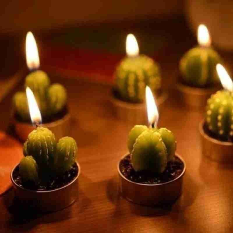 6Pcs Cactus Candle Cube Candle Simulated Plant Set Paraffin Scented 3D Candle Delicate Succulent Cactus Candles for Valentine's Day Birthday Party Wedding Spa Home Decoration Gifts Home Candle Tea Light Background Props Decor Stevvex