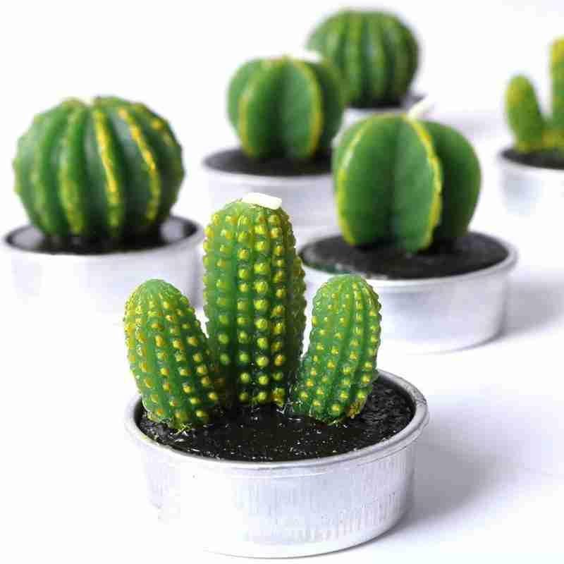 6Pcs Cactus Candle Cube Candle Simulated Plant Set Paraffin Scented 3D Candle Delicate Succulent Cactus Candles for Valentine's Day Birthday Party Wedding Spa Home Decoration Gifts Home Candle Tea Light Background Props Decor Stevvex