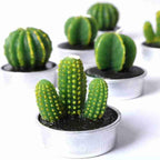 6Pcs Cactus Candle Cube Candle Simulated Plant Set Paraffin Scented 3D Candle Delicate Succulent Cactus Candles for Valentine's Day Birthday Party Wedding Spa Home Decoration Gifts Home Candle Tea Light Background Props Decor Stevvex
