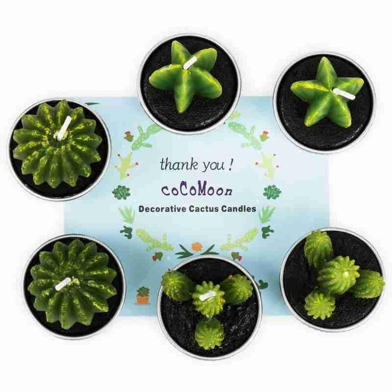 6Pcs Cactus Candle Cube Candle Simulated Plant Set Paraffin Scented 3D Candle Delicate Succulent Cactus Candles for Valentine's Day Birthday Party Wedding Spa Home Decoration Gifts Home Candle Tea Light Background Props Decor Stevvex