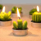 6Pcs Cactus Candle Cube Candle Simulated Plant Set Paraffin Scented 3D Candle Delicate Succulent Cactus Candles for Valentine's Day Birthday Party Wedding Spa Home Decoration Gifts Home Candle Tea Light Background Props Decor Stevvex