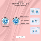 Round Rock Blue Crystal Earrings Pi-Mart