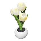 Flowerpot Potted Table Lamp - SJB-DIAMOND ELITES