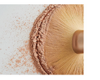 Mixed Hair Makeup Set Brush Foundation Cover Pi-Mart