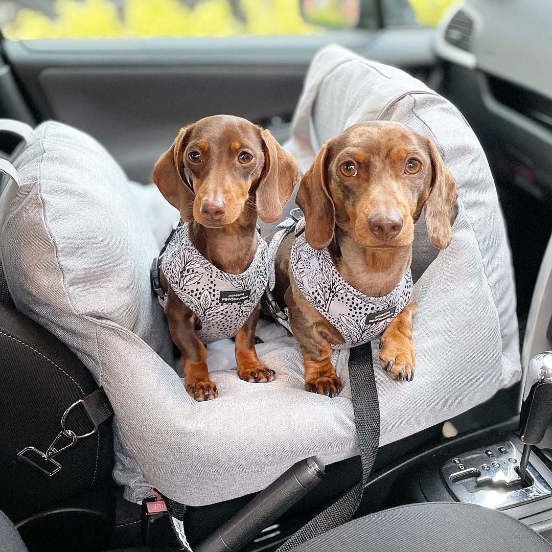 Pet Travel Bed - SJB-DIAMOND ELITES