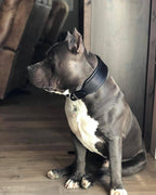 Plain "Style" Collar black Bestia Dog Gear