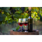 Better Homes & Gardens Elegant Wine Bottle Stopper Aluminum and Wood, Brown and Silver 3.93" EasyOptionXY LLC