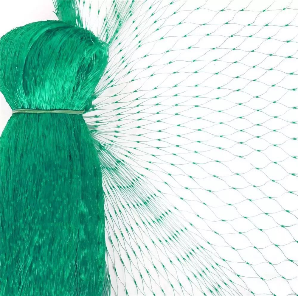 Durable Green Garden Bird Net Plastic Net
