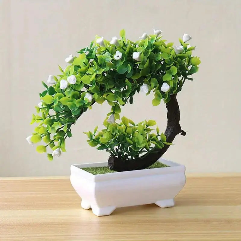 Small Bonsai Tree Pi-Mart