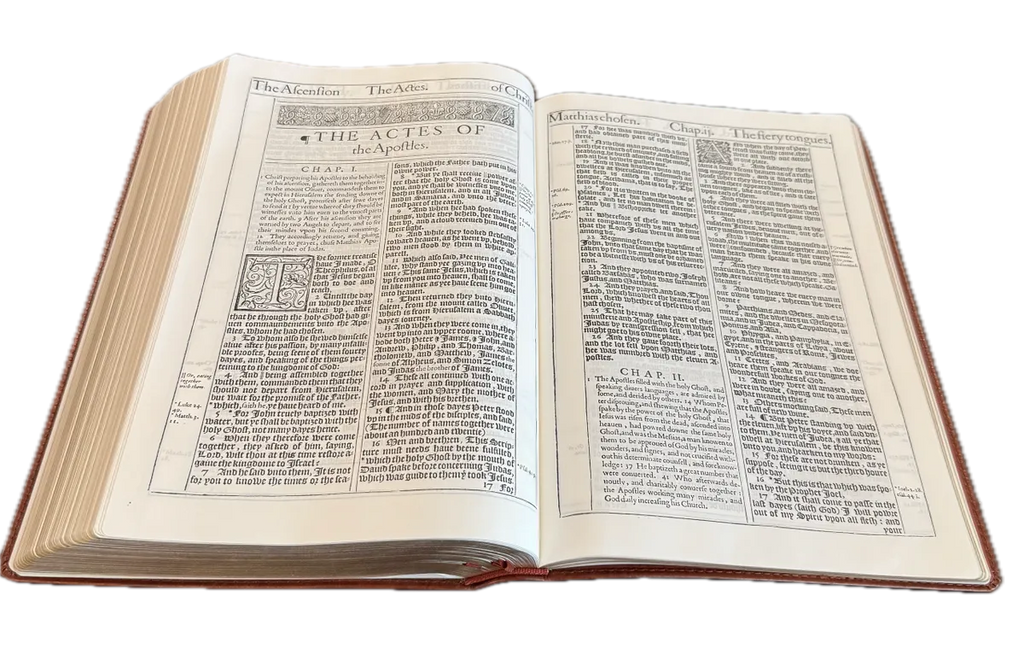 1611 King James Bible - Brown KingdomWear