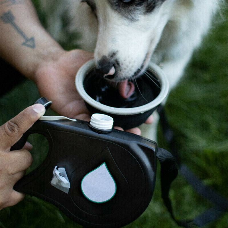 Multifunctional Pet Leash - SJB-DIAMOND ELITES