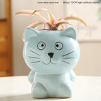 Succulent Flower Pot Ceramic Breathable Stoneware
