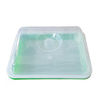 Soilless Cultivation Planting Plate Vegetable Double Layer Vegetable Seed Germination Plate