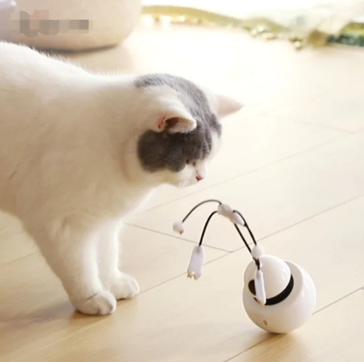 3-in-1 Robotic Laser Cat Toy for Pets Pi-Mart