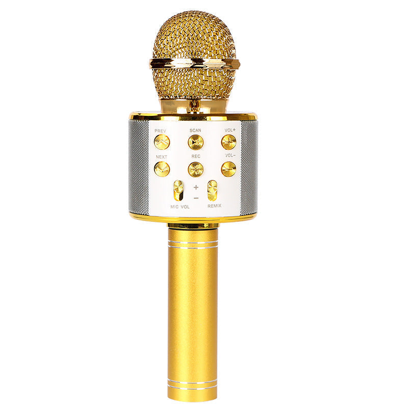 Wireless Bluetooth Colorful Light Microphone Pi-Mart