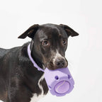 Dog Tennis Cup Natural Rubber Bite-resistant Toys Pi-Mart