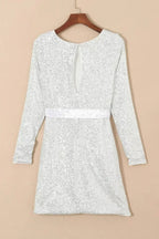 Silvery Sequin Long Sleeve Tie Waist Mini Dress