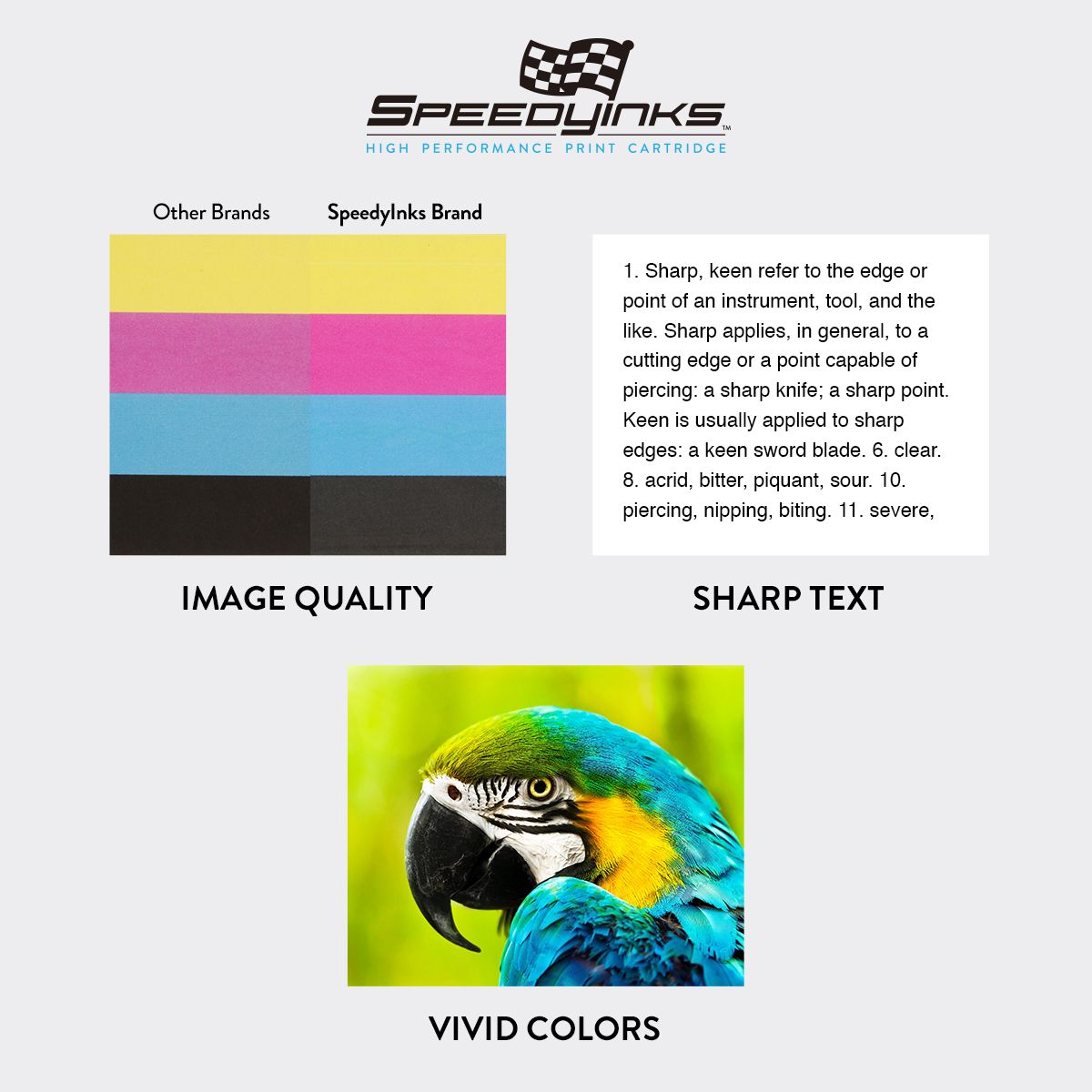 Speedy Inks - Remanufactured Replacement Ink Cartridge for HP 29 51629A Black EasyOptionXY LLC