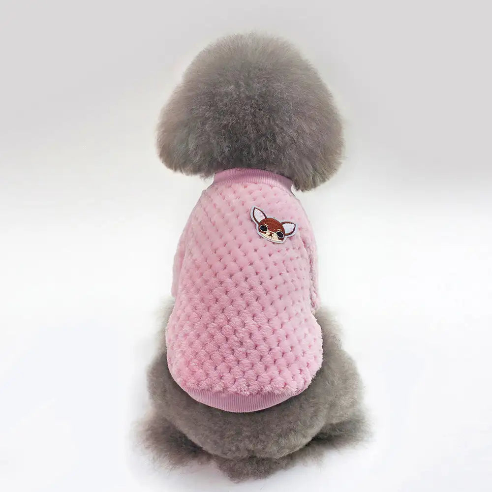 clothes for pets