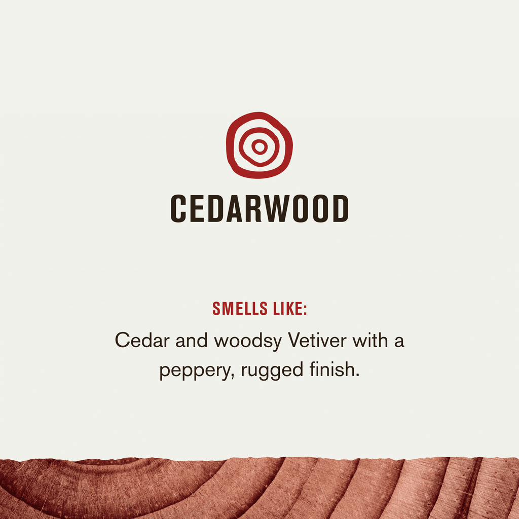 Every Man Jack Cedarwood Hydrating Mens Body Wash for All Skin Types - 16.9oz EasyOptionXY LLC