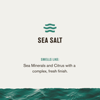 Every Man Jack Sea Salt Mens Antiperspirant Deodorant - Long Lasting Odor & Sweat Protection - 2.6oz EasyOptionXY LLC