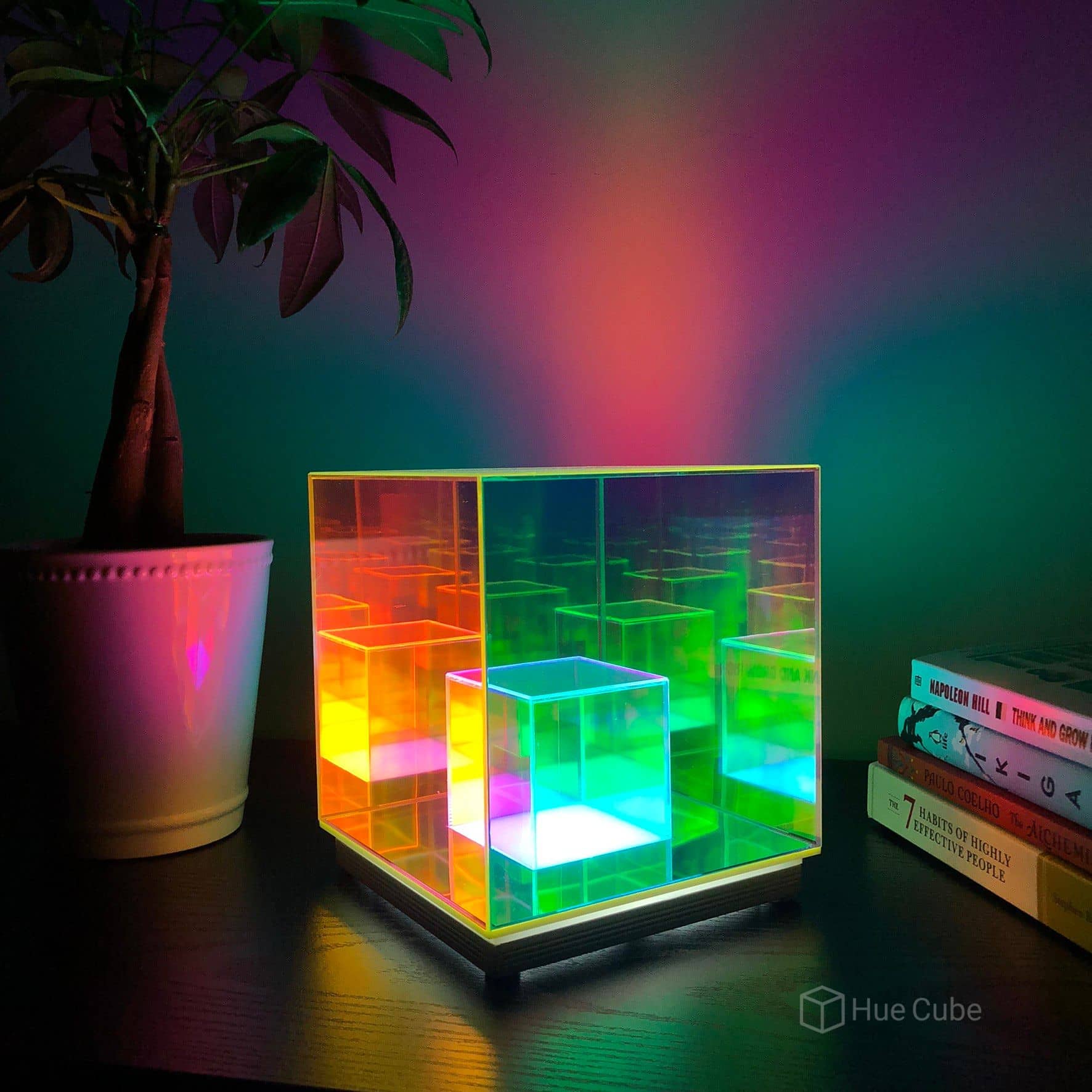 The Infinity Lamp - SJB-DIAMOND ELITES
