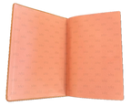 1611 King James Bible - Tan KingdomWear