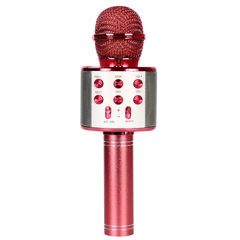 Wireless Bluetooth Colorful Light Microphone Pi-Mart