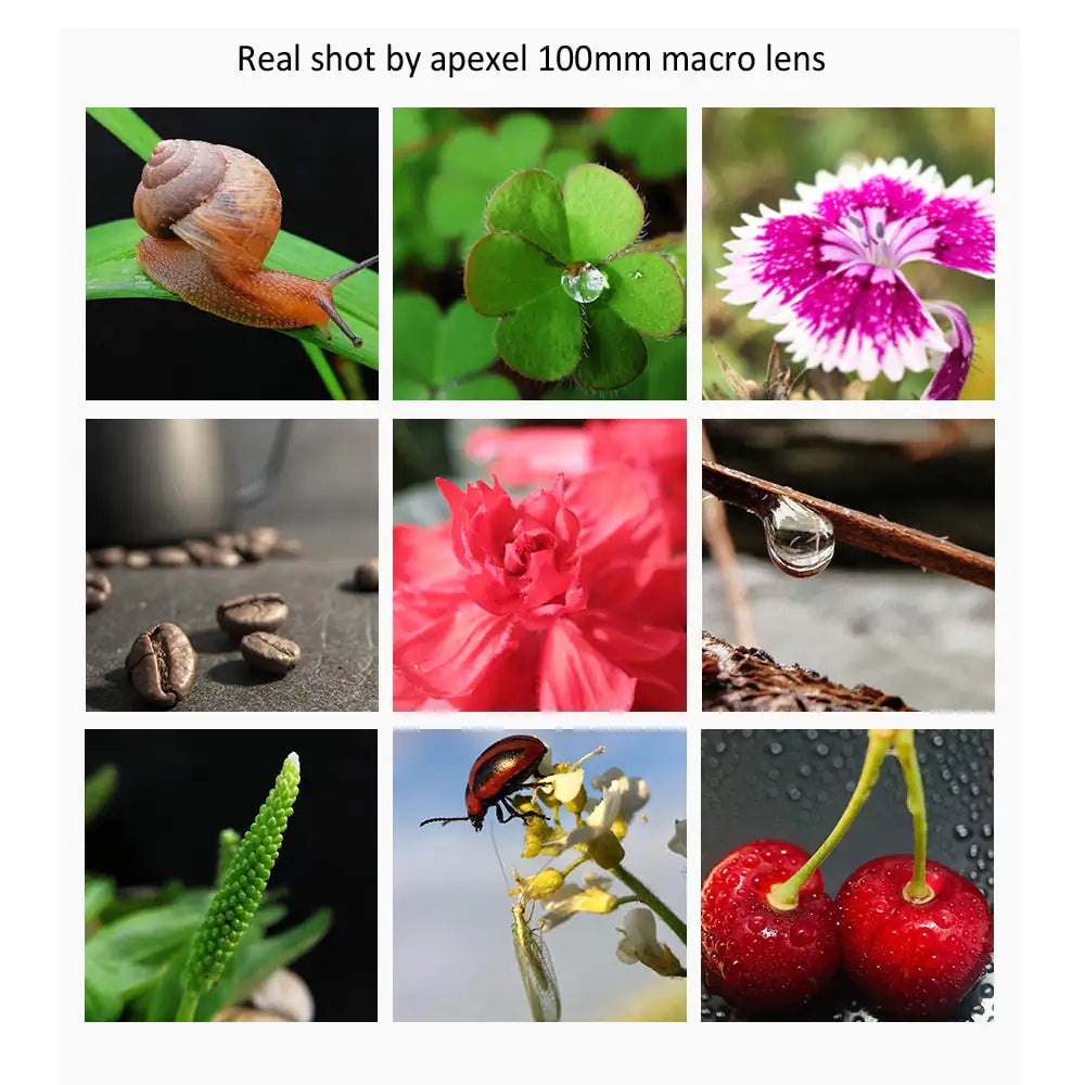 Macro Lens With CPL Filter Pi-Mart