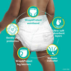 Pampers Swaddlers Diapers Size 7, 66 Count EasyOptionXY LLC
