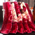 Blanket Quilt Winter Double Sided Warmth Extra Thick Flannel Pi-Mart
