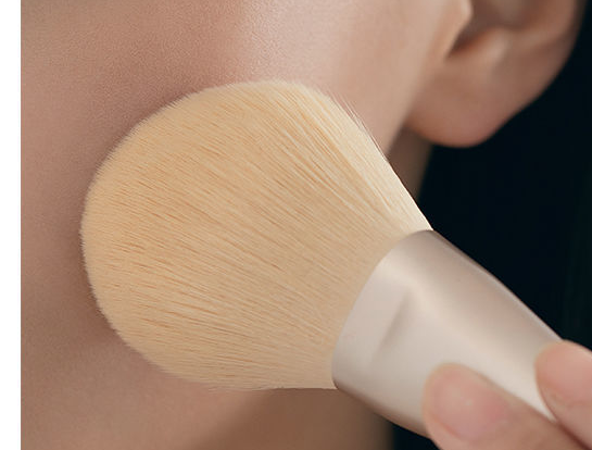 Mixed Hair Makeup Set Brush Foundation Cover Pi-Mart