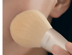 Mixed Hair Makeup Set Brush Foundation Cover Pi-Mart