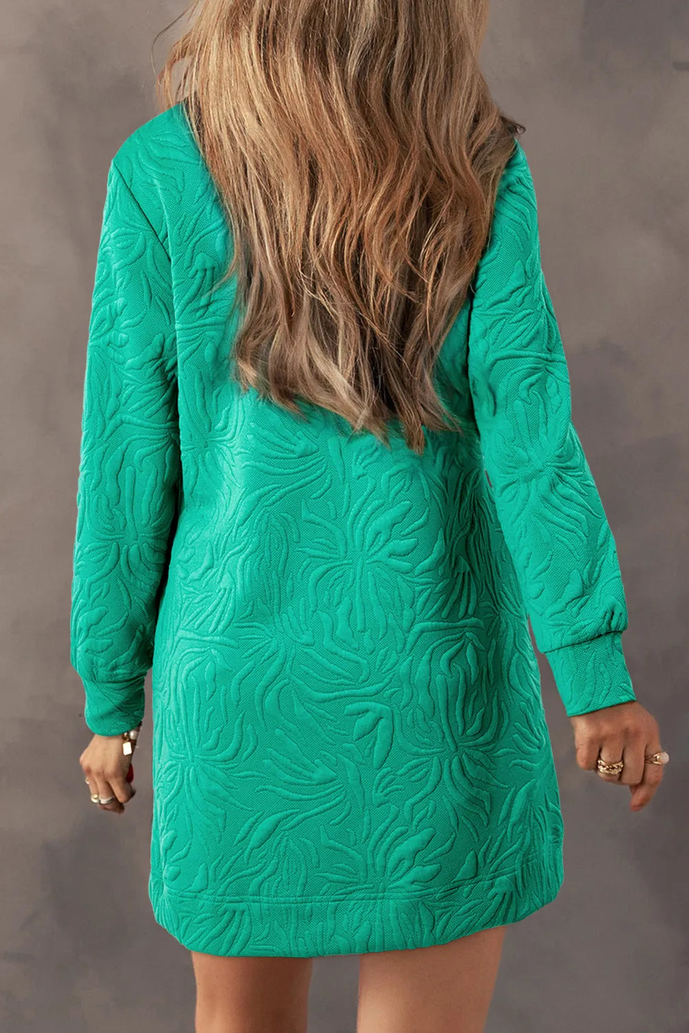 Classic Textured Zip Mini Dress Trendy Long Sleeve Dress for Women Modern Dress Stevvex