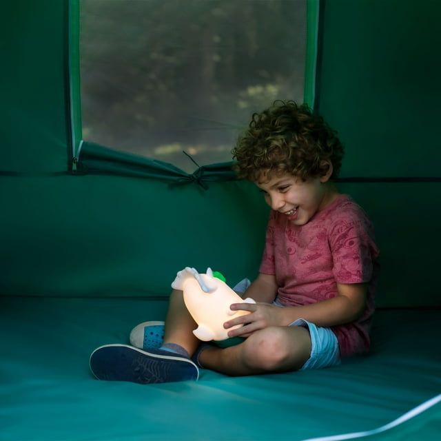 Firefly! Outdoor Gear Chip the Dinosaur 100 Lumen Battery Powdered Kid's Lantern (3 AA Batteries Not Included) EasyOptionXY LLC