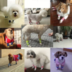[2 Sets Elbow Support Guards] Pet Dog Elbow Guards, a Set of 2 Front Leg And 2 Hind Leg Protectors, Elbow Support Wraps, Leg Support Wraps, Breathable Elastic Knitted Protective Socks for Pets, 4pcs Pet Leg Socks. Lootquake LLC