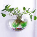 Wall-Mounted Fish Bowl Pi-Mart