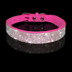 Pet Collar - SJB-DIAMOND ELITES