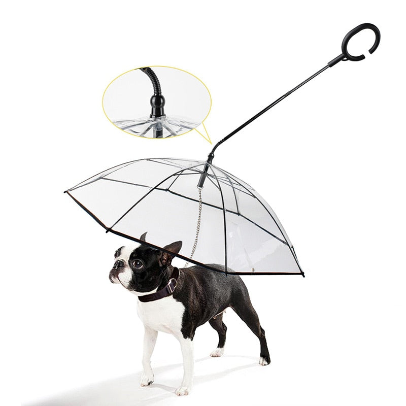 Pet Transparent Umbrella - SJB-DIAMOND ELITES
