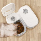 Automatic Pet Feeder Smart Food Dispenser For Cats Dogs Timer Stainless Steel Bowl Auto Dog Cat Pet Feeding Pets Supplies Pi-Mart